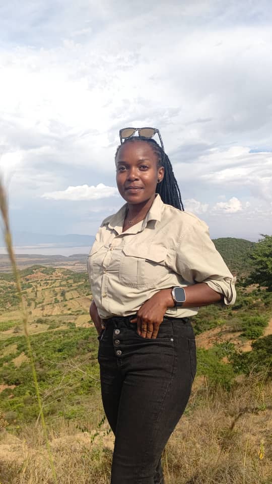 2b20653c-4cde-49b7-b0f6-db06bb0e021e