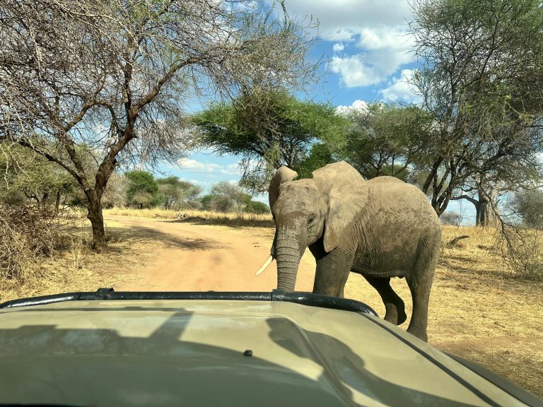 14 Days Extended Northern Circuit